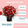 giỏ hoa