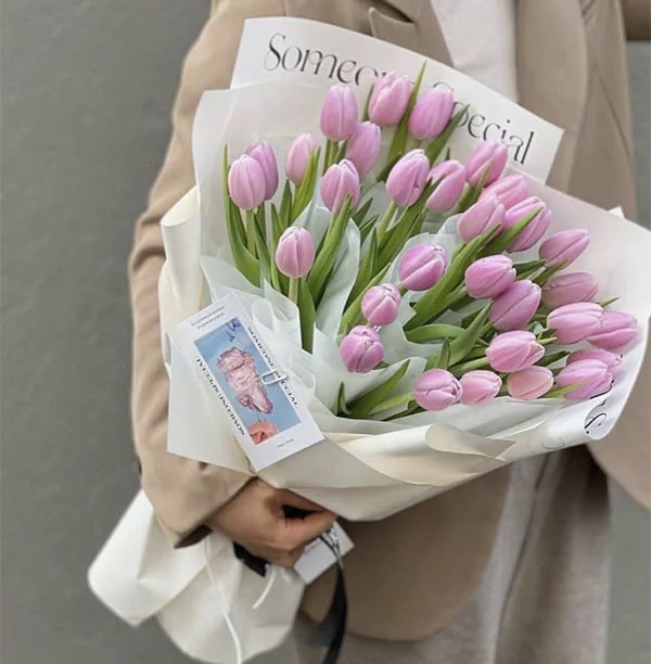 bó hoa tulip tỏ tình